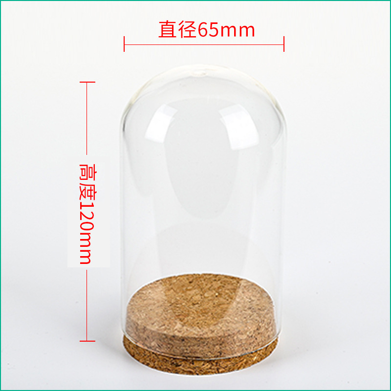 36pcs D65XH120mm Empty Clear G - Wedding Zoo 评论和价格